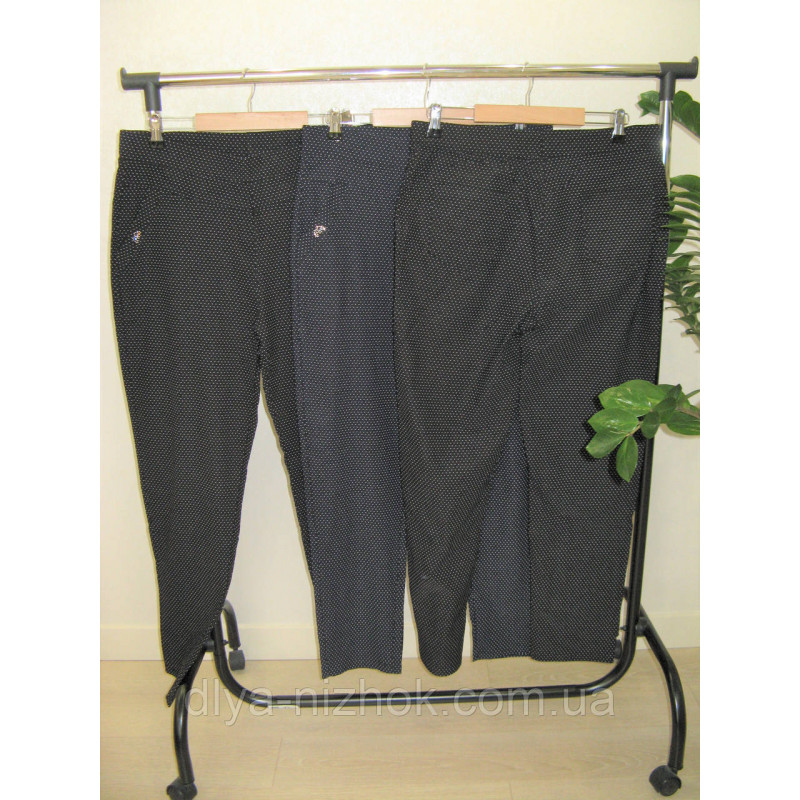 Купити Брюки жіночі  в мілкий горох  р. 4-8 XL Kenalin оптом