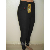 Штани жіночі з бджолою S — 2XL стрейч Kenalin