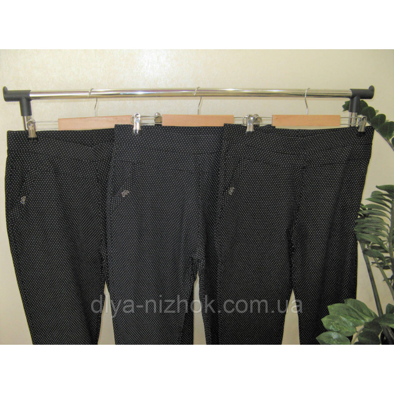 Купити Брюки жіночі  в мілкий горох  р. 4-8 XL Kenalin оптом