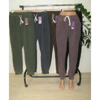 Жіночі демісезонні штани плюш  на манжетах  2ХL-6XL  Kenalin