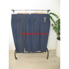 Жіночі штани якісна якість сірі 8XL-10XL Золото