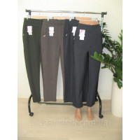 Штани жіночі демісезоні батал L - 6XL  Dasire Польща