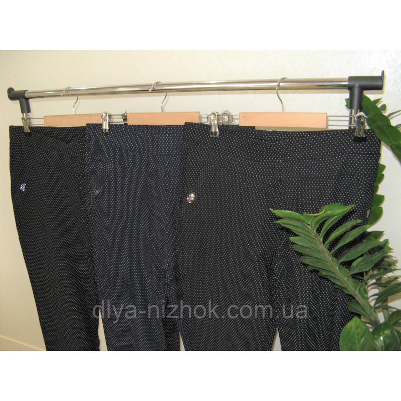 Купити Брюки жіночі  в мілкий горох  р. 4-8 XL Kenalin оптом
